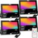 LED Flood Light Weatherproof Outdoor Smart Control 1