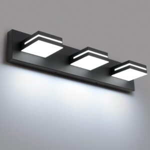 LED Vanity Light Matte Black Fixture 1